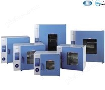 鼓風干燥箱DHG-9003（干燥箱系列）