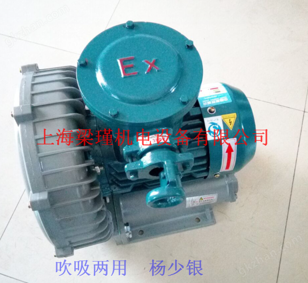 設(shè)備配套用環(huán)形防爆鼓風(fēng)機(jī)